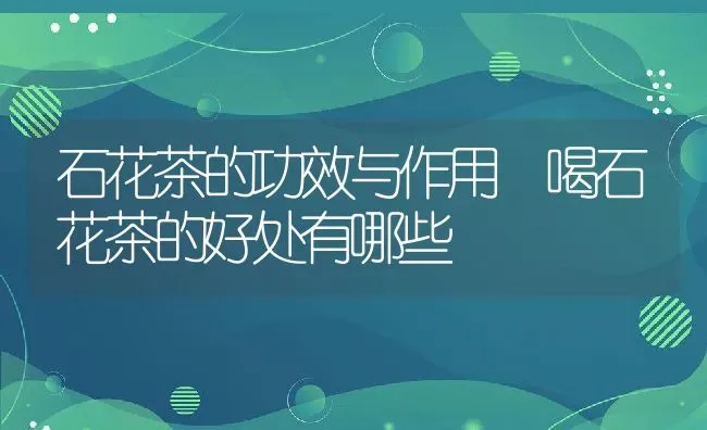 石花茶的功效与作用 喝石花茶的好处有哪些 | 养殖资料投稿