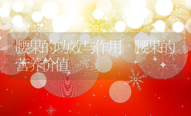 腰果的功效与作用 腰果的营养价值 | 养殖资料投稿