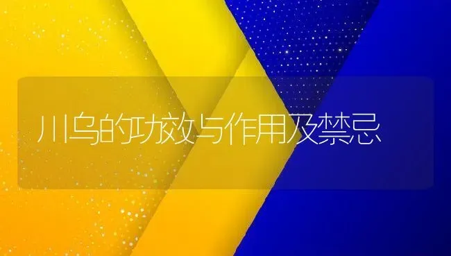 川乌的功效与作用及禁忌 | 养殖资料投稿