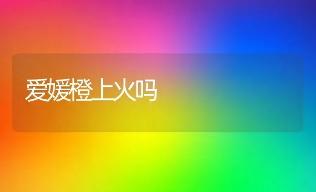 爱媛橙上火吗 | 养殖资讯