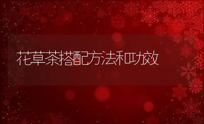 花草茶搭配方法和功效 | 养殖资料投稿