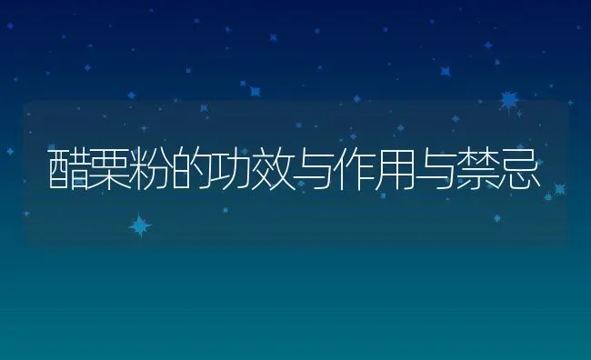 醋栗粉的功效与作用与禁忌 | 养殖资料投稿