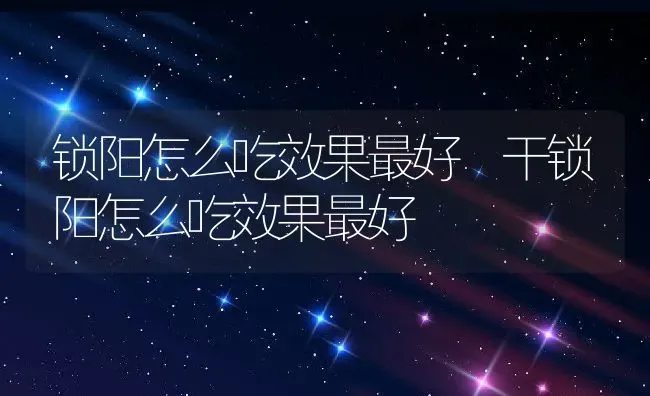 锁阳怎么吃效果最好 干锁阳怎么吃效果最好 | 养殖资料投稿