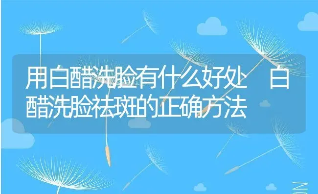用白醋洗脸有什么好处 白醋洗脸祛斑的正确方法 | 养殖资料投稿