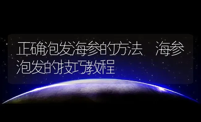 正确泡发海参的方法 海参泡发的技巧教程 | 养殖资料投稿