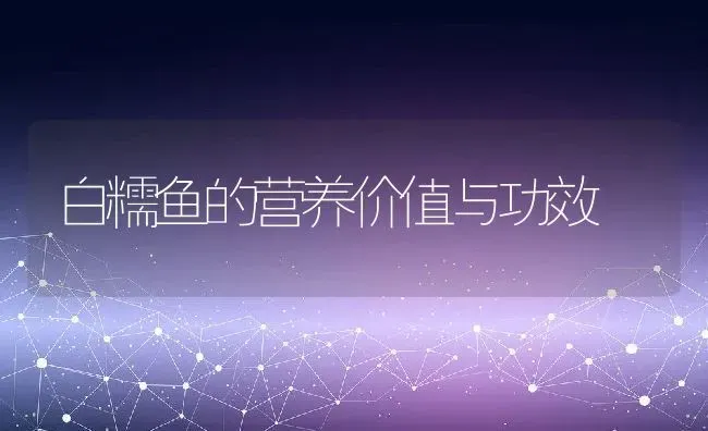 洋葱可直接打汁喝吗 洋葱打汁喝有什么好处 | 养殖资料投稿