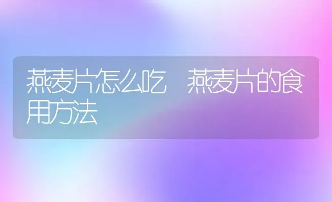 燕麦片怎么吃 燕麦片的食用方法 | 养殖资讯