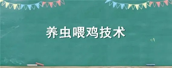 养虫喂鸡技术