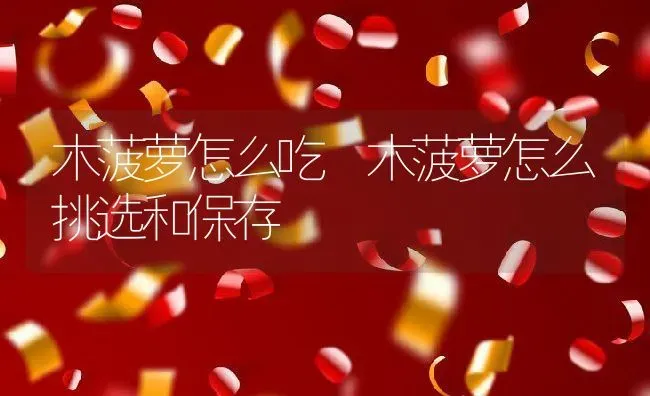 木菠萝怎么吃 木菠萝怎么挑选和保存 | 养殖资料投稿