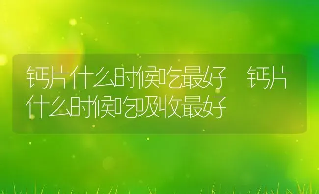 钙片什么时候吃最好 钙片什么时候吃吸收最好 | 养殖资料投稿