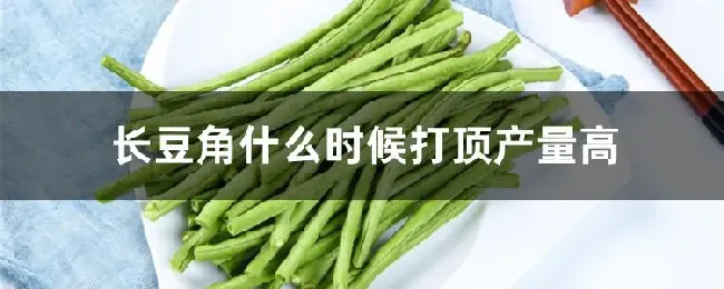 长豆角什么时候打顶产量高