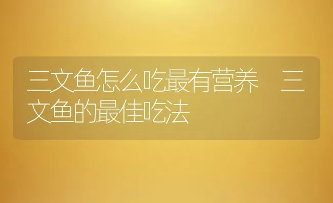 三文鱼怎么吃最有营养 三文鱼的最佳吃法 | 养殖资料投稿