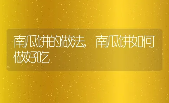 南瓜饼的做法,南瓜饼如何做好吃 | 养殖资料投稿