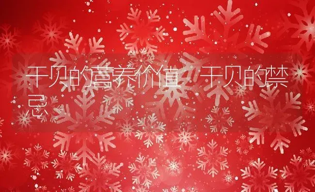 干贝的营养价值 干贝的禁忌 | 养殖资料投稿