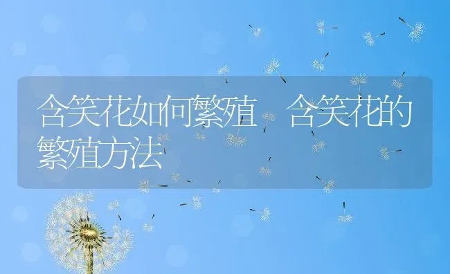 含笑花如何繁殖 含笑花的繁殖方法 | 养殖资料投稿