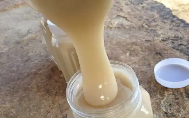 蜂蜜柚子茶能不能解酒