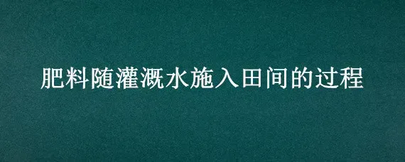 肥料随灌溉水施入田间的过程