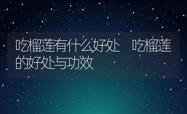 吃榴莲有什么好处 吃榴莲的好处与功效 | 养殖资料投稿