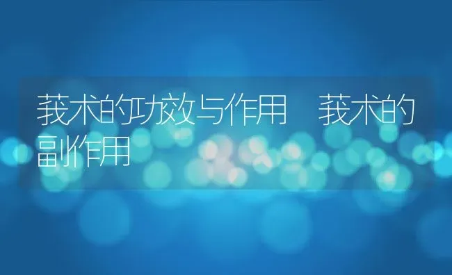 莪术的功效与作用 莪术的副作用 | 养殖资料投稿
