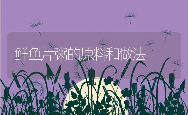 鲜鱼片粥的原料和做法 | 养殖资讯