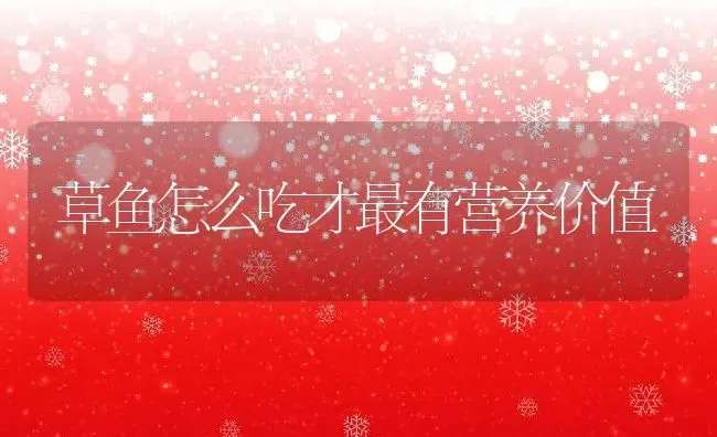 草鱼怎么吃才最有营养价值 | 养殖资料投稿