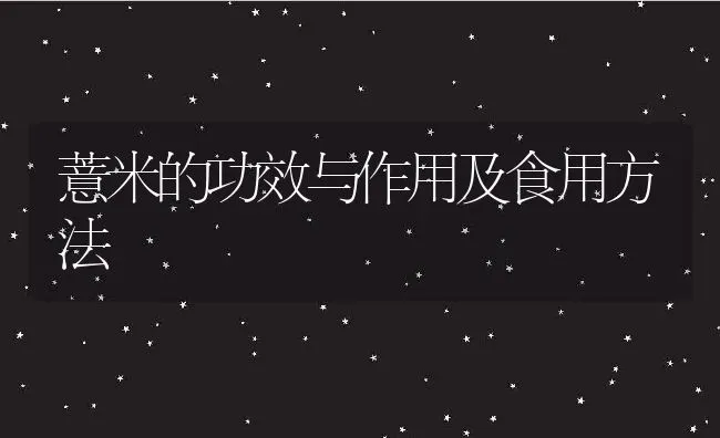 薏米的功效与作用及食用方法 | 养殖资讯