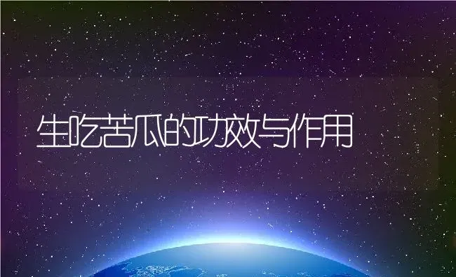 生吃苦瓜的功效与作用 | 养殖资料投稿