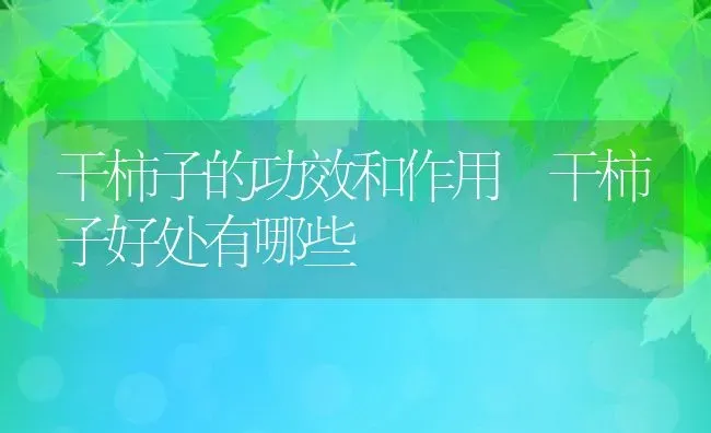 干柿子的功效和作用 干柿子好处有哪些 | 养殖资料投稿