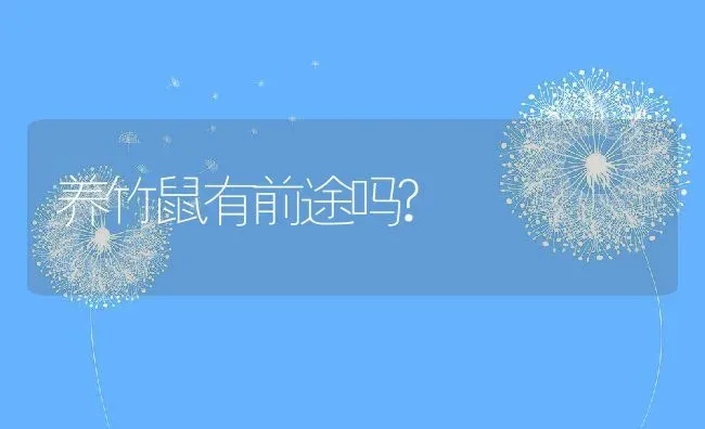 养竹鼠有前途吗? | 养殖资讯