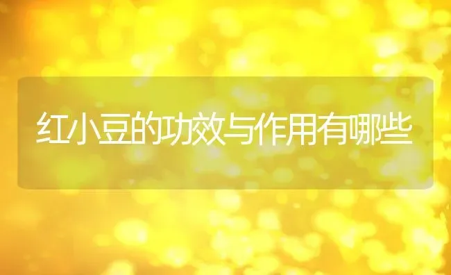 红小豆的功效与作用有哪些 | 养殖资料投稿