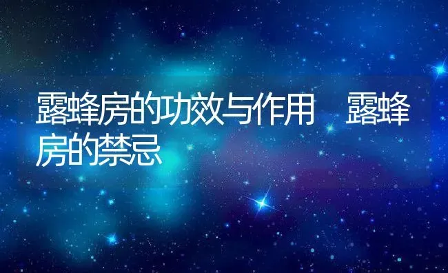 露蜂房的功效与作用 露蜂房的禁忌 | 养殖资料投稿