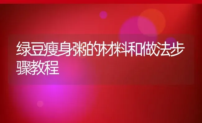 绿豆瘦身粥的材料和做法步骤教程 | 养殖资讯