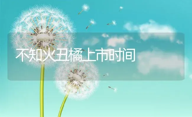 不知火丑橘上市时间 | 养殖资讯