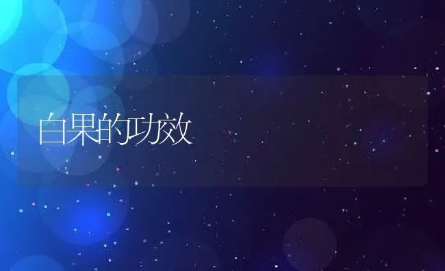 白果的功效 | 养殖资料投稿