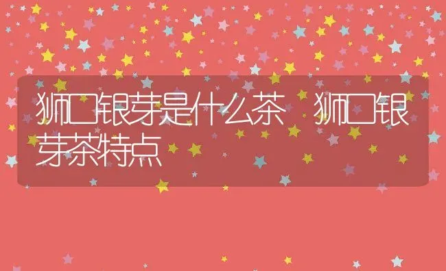 狮口银芽是什么茶 狮口银芽茶特点 | 养殖资料投稿