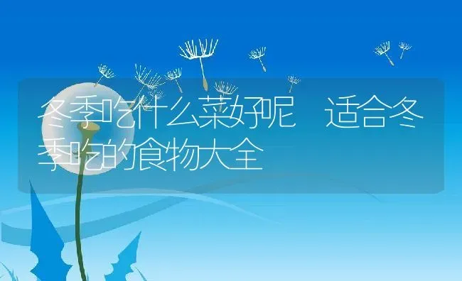 冬季吃什么菜好呢 适合冬季吃的食物大全 | 养殖资料投稿