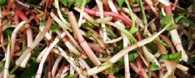 鱼腥草有哪些好吃的做法？