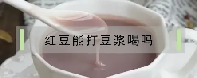 红豆能打豆浆喝吗