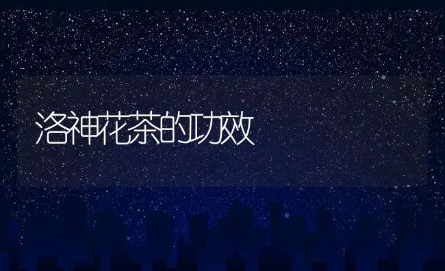 洛神花茶的功效 | 养殖资料投稿