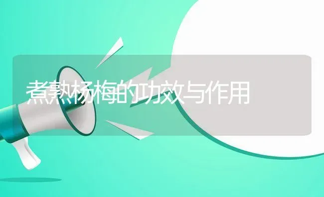 煮熟杨梅的功效与作用 | 养殖资料投稿