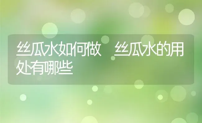 丝瓜水如何做 丝瓜水的用处有哪些 | 养殖资料投稿