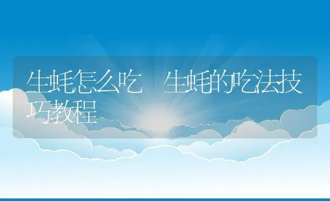 生蚝怎么吃 生蚝的吃法技巧教程 | 养殖资料投稿