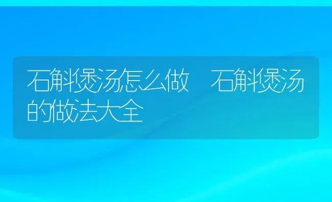 石斛煲汤怎么做 石斛煲汤的做法大全 | 养殖资料投稿