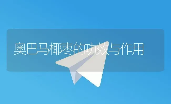 奥巴马椰枣的功效与作用 | 养殖资料投稿