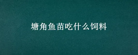 塘角鱼苗吃什么饲料