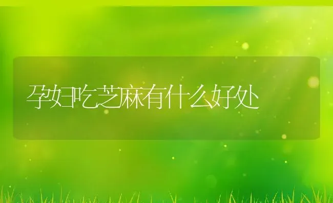 孕妇吃芝麻有什么好处 | 养殖资料投稿