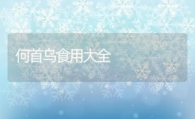何首乌食用大全 | 养殖资料投稿