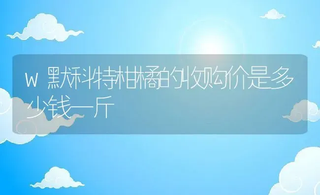 w默科特柑橘的收购价是多少钱一斤 | 养殖资讯