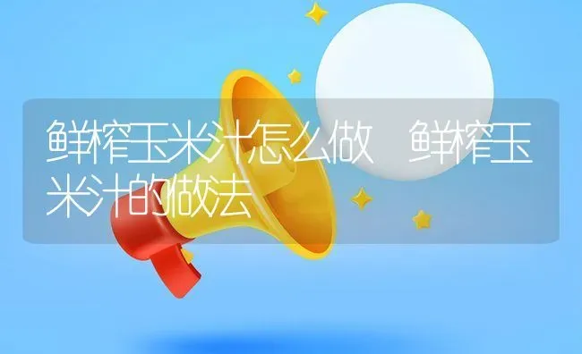 鲜榨玉米汁怎么做 鲜榨玉米汁的做法 | 养殖资料投稿