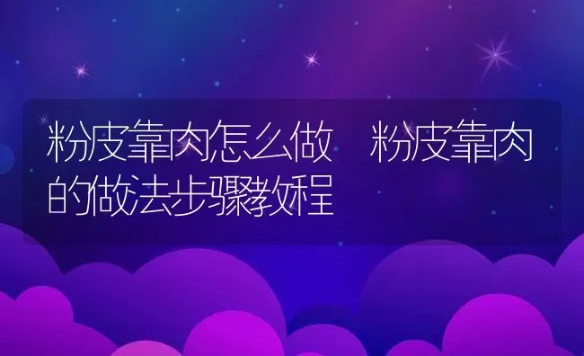 粉皮靠肉怎么做 粉皮靠肉的做法步骤教程 | 养殖资料投稿